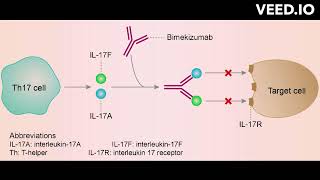 Bimekizumab mode of action [upl. by Lyris]