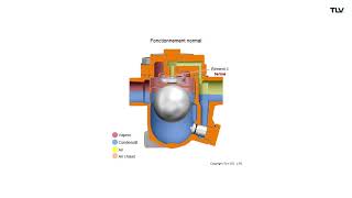 Fonctionnement en animation  Purgeur de vapeur à flotteur fermé libre JXJHX gamme [upl. by Adnama753]