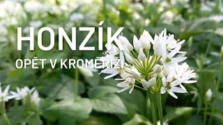 Honzík Lací  Vlog Jsem zasejc v Kroměříži [upl. by Bonnibelle]