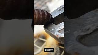 Rescue the little squirrel from parasitic horse fly larvae 31 animals wildlife [upl. by Aneetak]