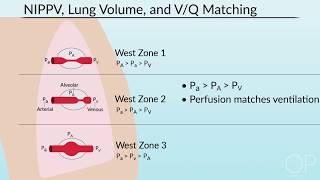 Pulmonary Mechanics in NonInvasive Positive Pressure Ventilation by B McAlvin  OPENPediatrics [upl. by Sileray430]