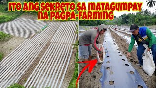 Paano ang Land Preparation sa Atsal at Basal Fertilizer Application [upl. by Pitt]