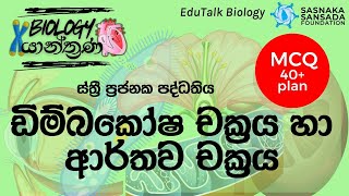 ඩිම්බකෝෂ චක්‍රය හා ආර්තව චක්‍රය  Ovarian Cycle amp Uterine Cycle  EduTalk Biology [upl. by Namhar654]