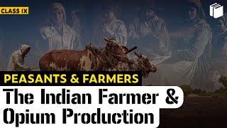 The Indian Farmer amp Opium Production  Peasants amp Farmers  Chapter 6  History  Class 9  PuStack [upl. by Meelas]