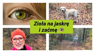 Jaskra i zaćma  tymi ziołami możesz je wyleczyć 👁️🌷🌸 [upl. by Oivlis]