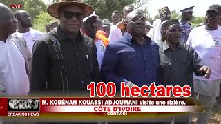 CÔTE DIVOIRE M KOBÉNAN KOUASSI ADJOUMANI visite une rizière [upl. by Airalav]