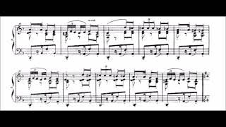 Bizet  Habanera from Carmen  Cyprien Katsaris Piano [upl. by Recnal]