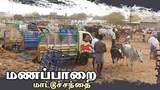 Manapparai mattu santhai  மணப்பாறை மாட்டு சந்தை [upl. by Ahsilyt]