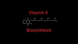 Vitamin K menaquinone Biosynthesis [upl. by Anelram]