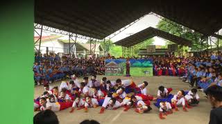 Wikang Filipino sa Pambansang Kalayaan at Pagkakaisa  AMLHS Champion [upl. by Ailehpo]