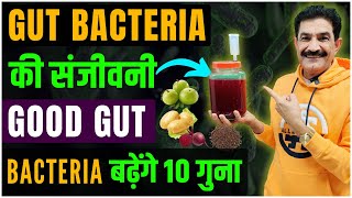 10x Your Good Gut Bacterias Population  Best Homamade Drink For Gut Bacteria in Hindi  Ram Verma [upl. by Aharon]