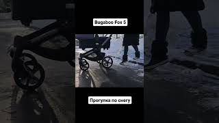 Bugaboo Fox 5 в снегу  Прогулка с коляской зимой [upl. by Egwin]