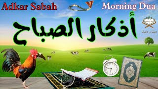 أذكار الصباح 🌼 بصوت يريح القلب ❤️🎧 سكينة وراحة لبداية اليوم 🌷 هاشم باروم 🕌 Adkar Sabah 🕌 Morning dua [upl. by Pussej]