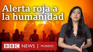 5 revelaciones del informe de la ONU sobre cambio climático y qué dice sobre América Latina [upl. by Sholem]