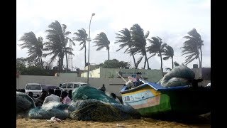 Cyclone Gaja Severe cyclonic storm destroys South TN 9 dead [upl. by Ttcos]