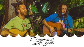 Iya Terra  Movement Live Music  Sugarshack Sessions [upl. by Orlena]