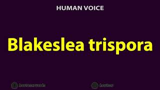 How To Pronounce Blakeslea trispora [upl. by Duj]