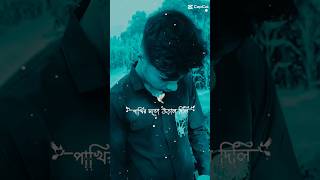 Boka Pakhi Apon Chinlo Na  বোকা পাখি আপন চিনলো না  Atif Ahmed Niloy  New Bangla Song 2020 [upl. by Neelyk]