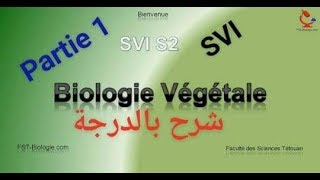 Biologies végétles s2 partie 1 thallophyte  cormophyte شرح بالدرجة [upl. by Nonnair930]