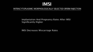 Intracytoplasmic Morphologically Selected Sperm Injection  IMSI [upl. by Klepac]