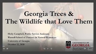 Georgia Trees and the Wildlife that Love Them [upl. by Tadashi195]