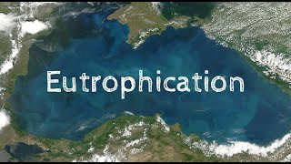 Eutrophication quick notes [upl. by Fredek779]