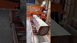 Woodmizer LT15 reaching limits 💯 woodmizer sawmill howto wood tools woodworking selfmade [upl. by Nimajeb453]