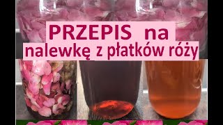 Nalewka z płatków róży  przepis [upl. by Atihana]