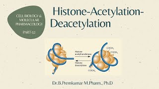 Histone Acetylation Deacetylation  CBMP  Part 12 [upl. by Morty]