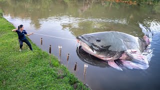 Harvesting A Lot Of Rarest Fish to Sell  Surviving a Week in the Forest [upl. by Llennhoj]