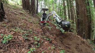 Cutting Hillside Trail Section 6 Takeuchi TB216 Excavator [upl. by Nessi977]