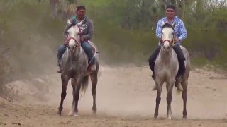 Carreras de Caballos  quotEl Cadetequot Grupo Laberinto [upl. by Attelrak528]