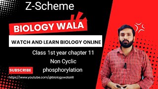 Class 11  Biology  Chapter 11  Lecture 7  Non Cyclic phosphorylation  Z Scheme [upl. by Anne-Marie]