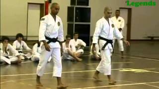 Shorinji Kempo  Portugal Taikai Legendswmv [upl. by Nerag]