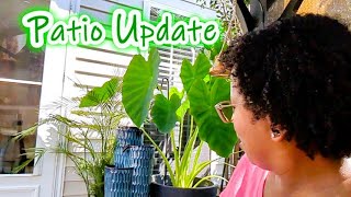 Patio Update  Details About Items I Purchased to Create Our Outdoor Oasis  Sunscreen On My Lip🫤 [upl. by Ebert]