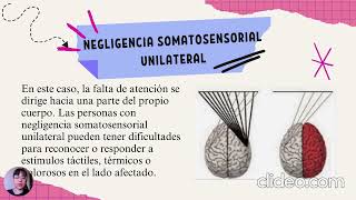 Actividad 5  Alteraciones de la Cognición y la Conciencia [upl. by Oicnaneb656]