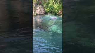 Las estacas viralshort travel swmming vacation fria river natural viralreels [upl. by Euqinomahs634]