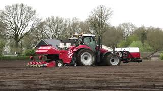 AARDAPPELS POTEN MET EEN STEYR 4135 CVT MIEDEMA CP 42 [upl. by Kirkwood291]