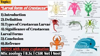 Larval form of crustacea  Larval forms and their significance crustacean  crustacea [upl. by Sikram]