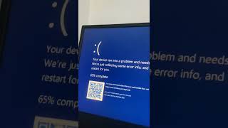 Blue screen of death [upl. by Enirbas]