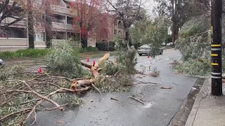 San Francisco sees its first ever tornado warning [upl. by Nager545]