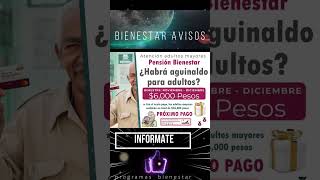 📌💣¿Recibirán aguinaldo los beneficiarios de la Pensión Bienestar para adultos mayores [upl. by Anan]