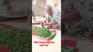 meri maa ji sag kat Rahi hai follow highlights followforfollowback [upl. by Neeka]