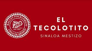 El tecolotito sinaloa mestizo [upl. by Dnaltruoc]