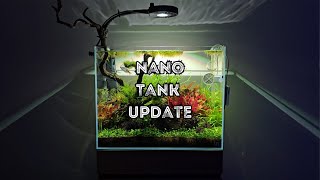 UNS45T low tech Nano planted tank [upl. by Adrien]