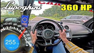 360HP LUPOGHINI is SMALL LIGHT amp FAST on the AUTOBAHN [upl. by Finbar493]