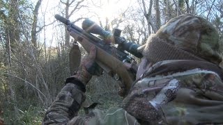 The Airgun Show – squirrel hunting from a hide PLUS more plinking targets on test [upl. by Nasaj]