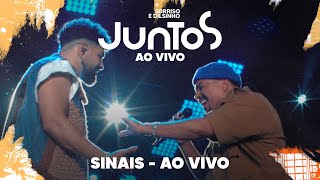 Sorriso Maroto Dilsinho  Sinais Ao Vivo [upl. by Ysac830]