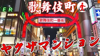 【新宿・歌舞伎町】東洋最大の繁華街に巣食う暴力団事務所8連発＋α [upl. by Pleione]