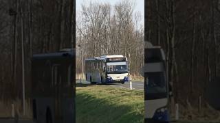 Arriva 8555 te Holwerd provinciale weg [upl. by Mcdowell988]